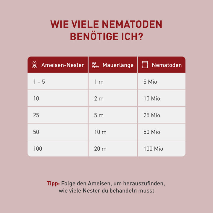 Menge SF-Nematoden pro Ameisen-Nest
