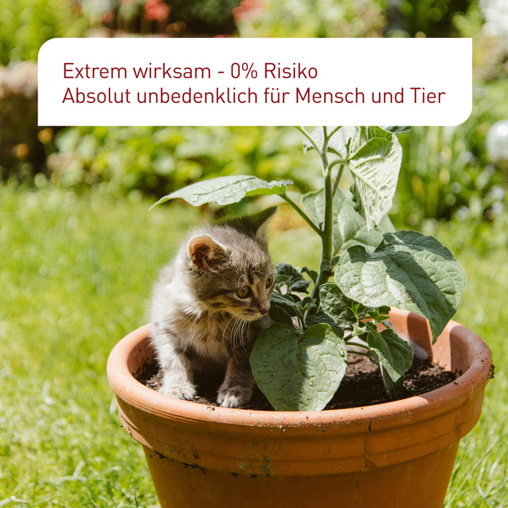 SF-Nematoden unbedenklich für Haustiere
