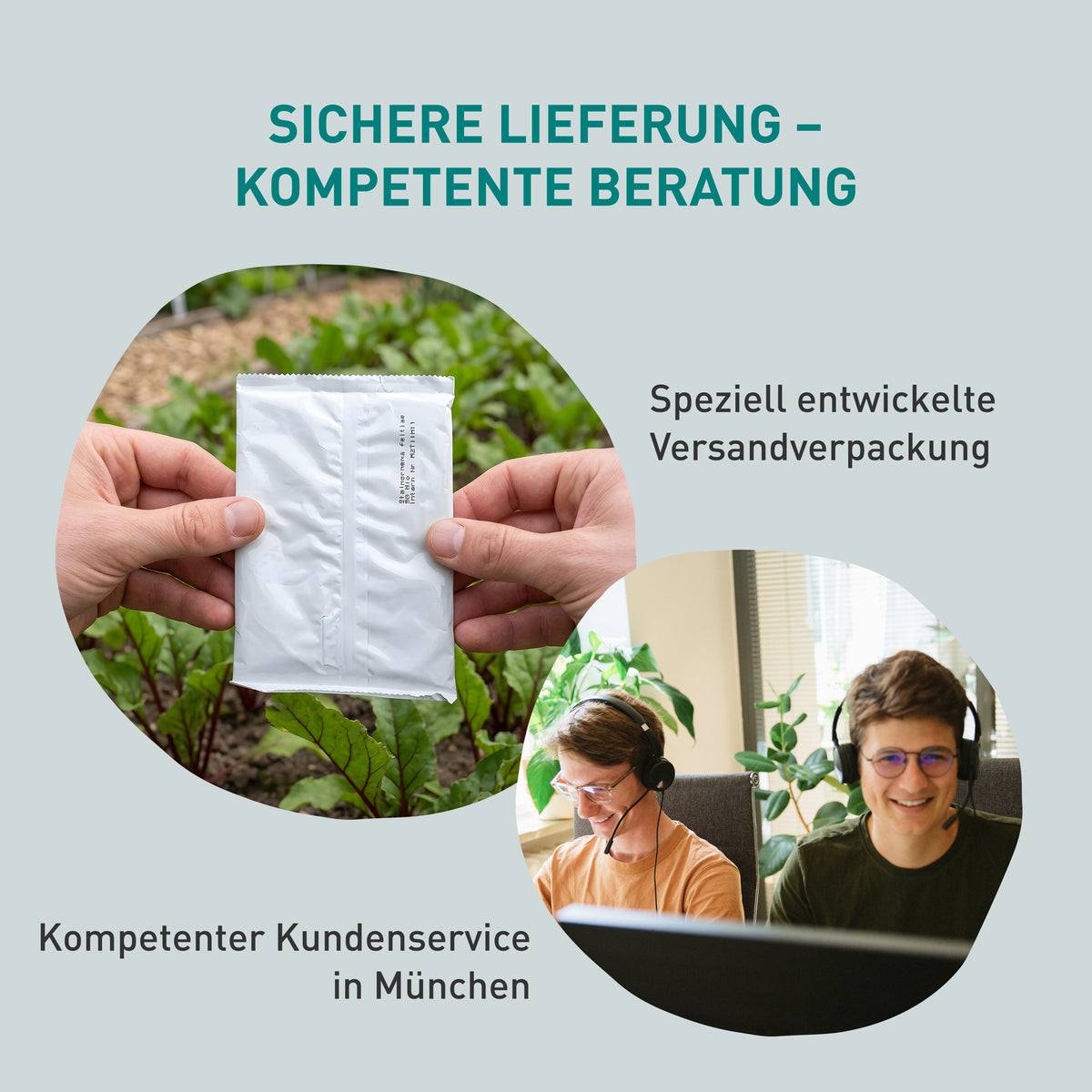 SF-Nematoden für Apfelbaum unbedenklich für Haustiere