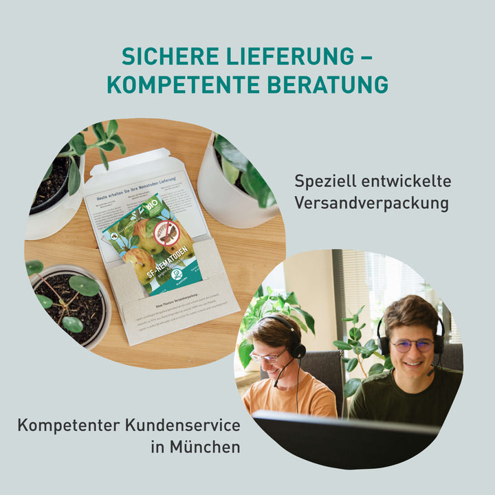 SF-Nematoden für Apfelbaum unbedenklich für Haustiere