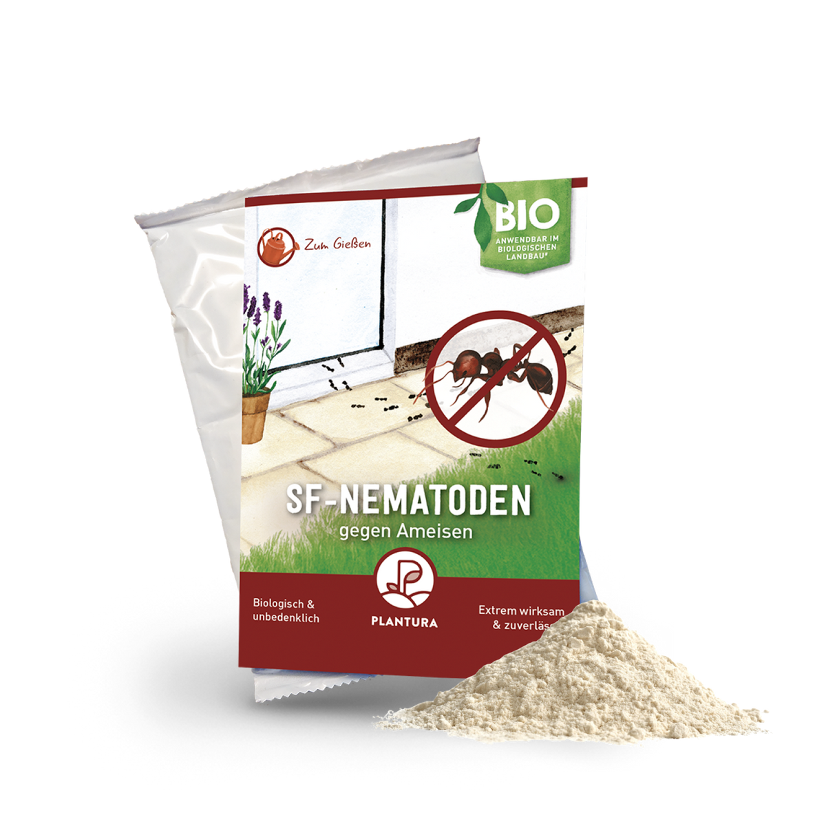 SF-Nematoden gegen Ameisen