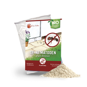SF-Nematoden gegen Ameisen