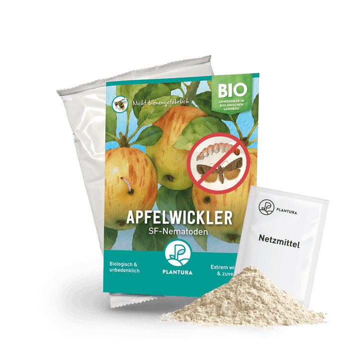 SF-Nematoden gegen Apfelwickler