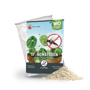 SF-Nematoden gegen Trauermücken