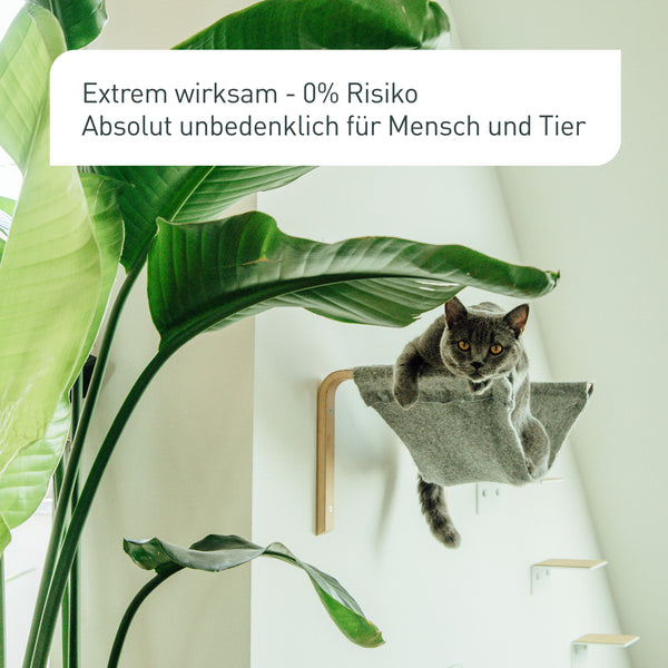SF-Nematoden unbedenklich für Haustiere