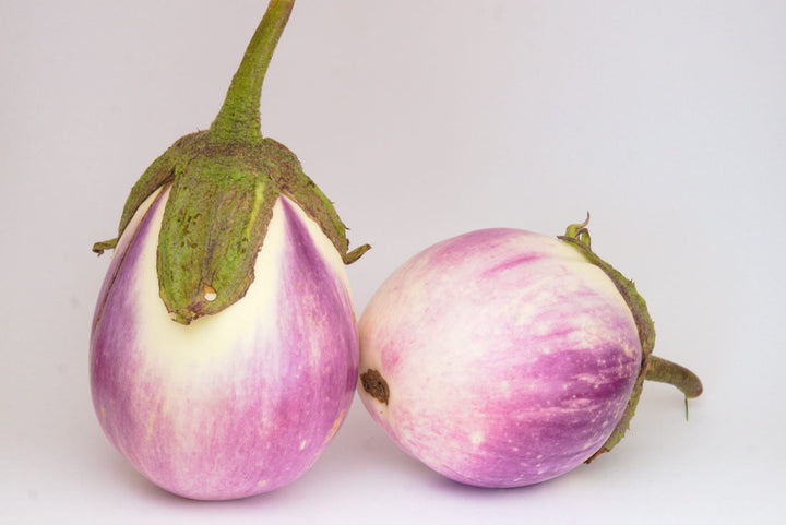 Solanum melongena 'Rotonda bianca'