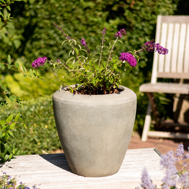Schmetterlingsflieder 'Royal Red' auf Terrasse
