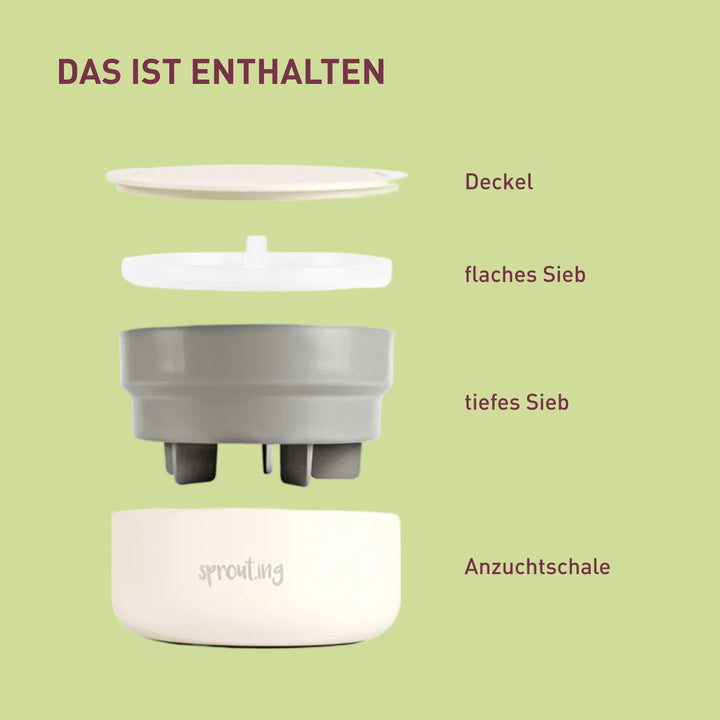 Aussaat in der kompakten Sprossen Anzuchtschale