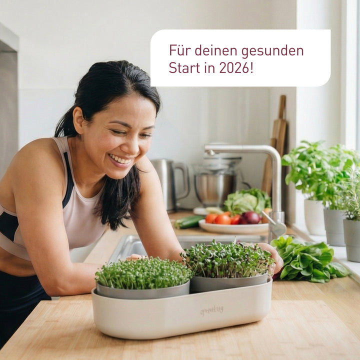 Sprossen-Set für einen gesunden Start in 2026