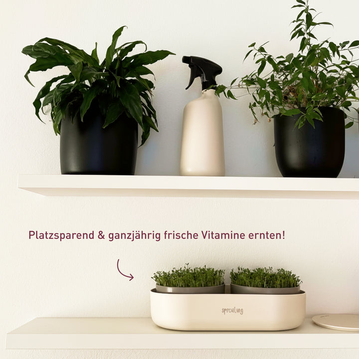 Anzucht-Set für Keimsprossen und Microgreens