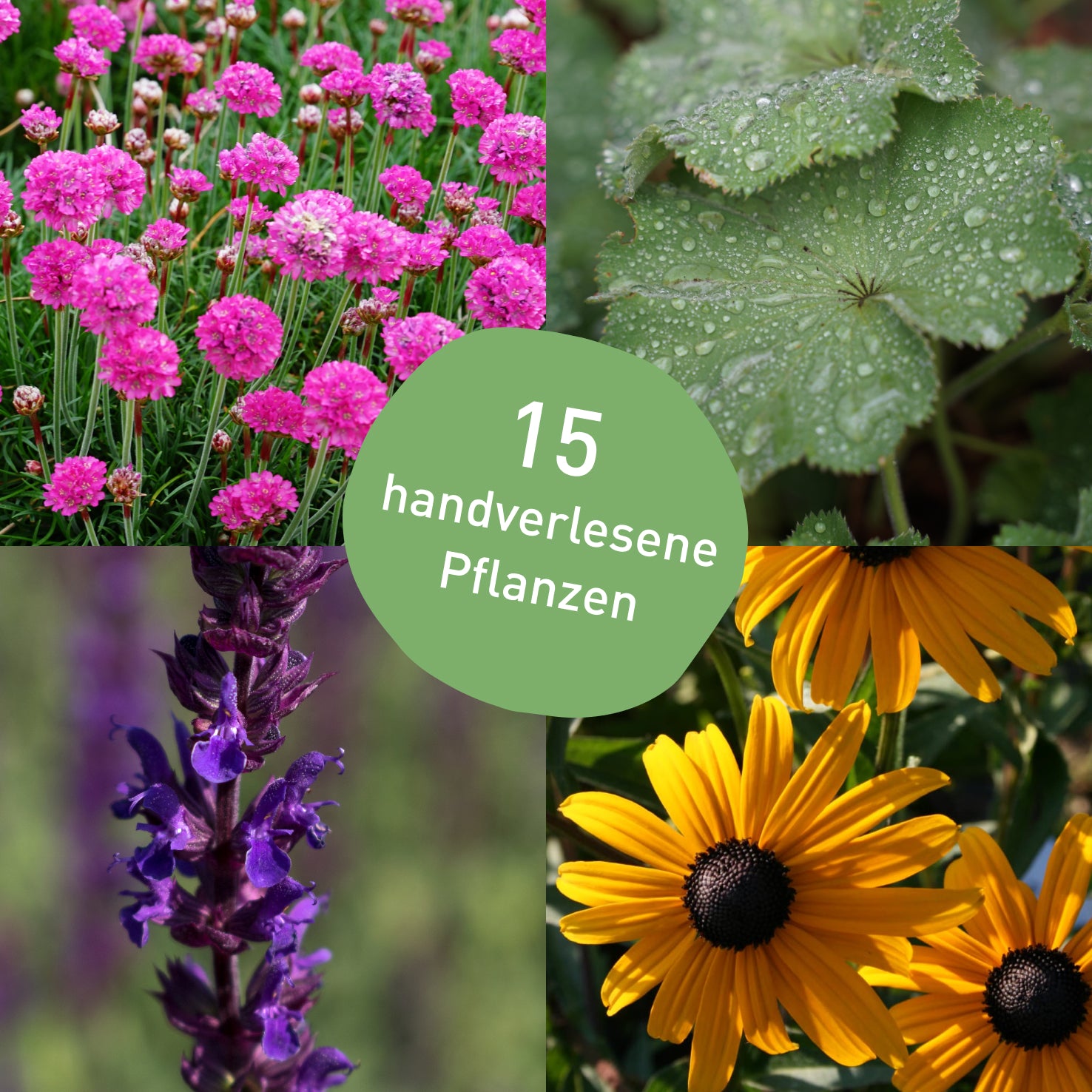 Pflegeleichtes Staudenbeet für Sonne mit 14 Pflanzen