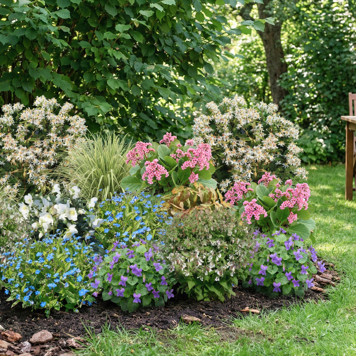 Staudenbeet Trockenheitsresistent Schatten (15er Set / 3 m²)