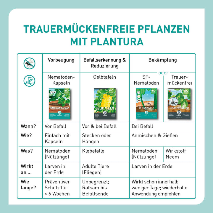 Tabelle Trauermücken-Bekämpfung