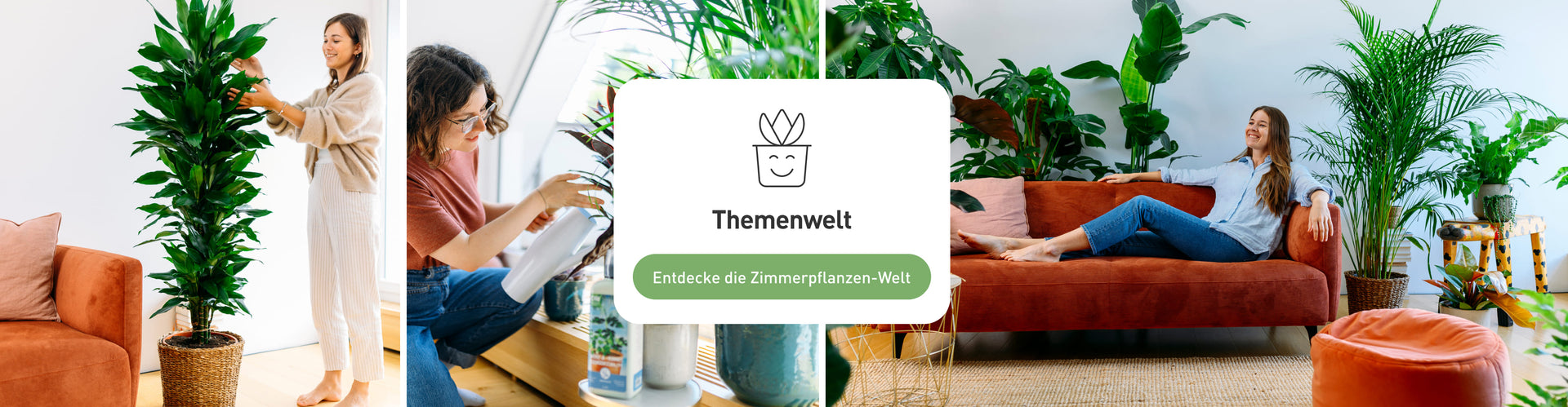 Plantura Themenwelt Zimmerpflanzen