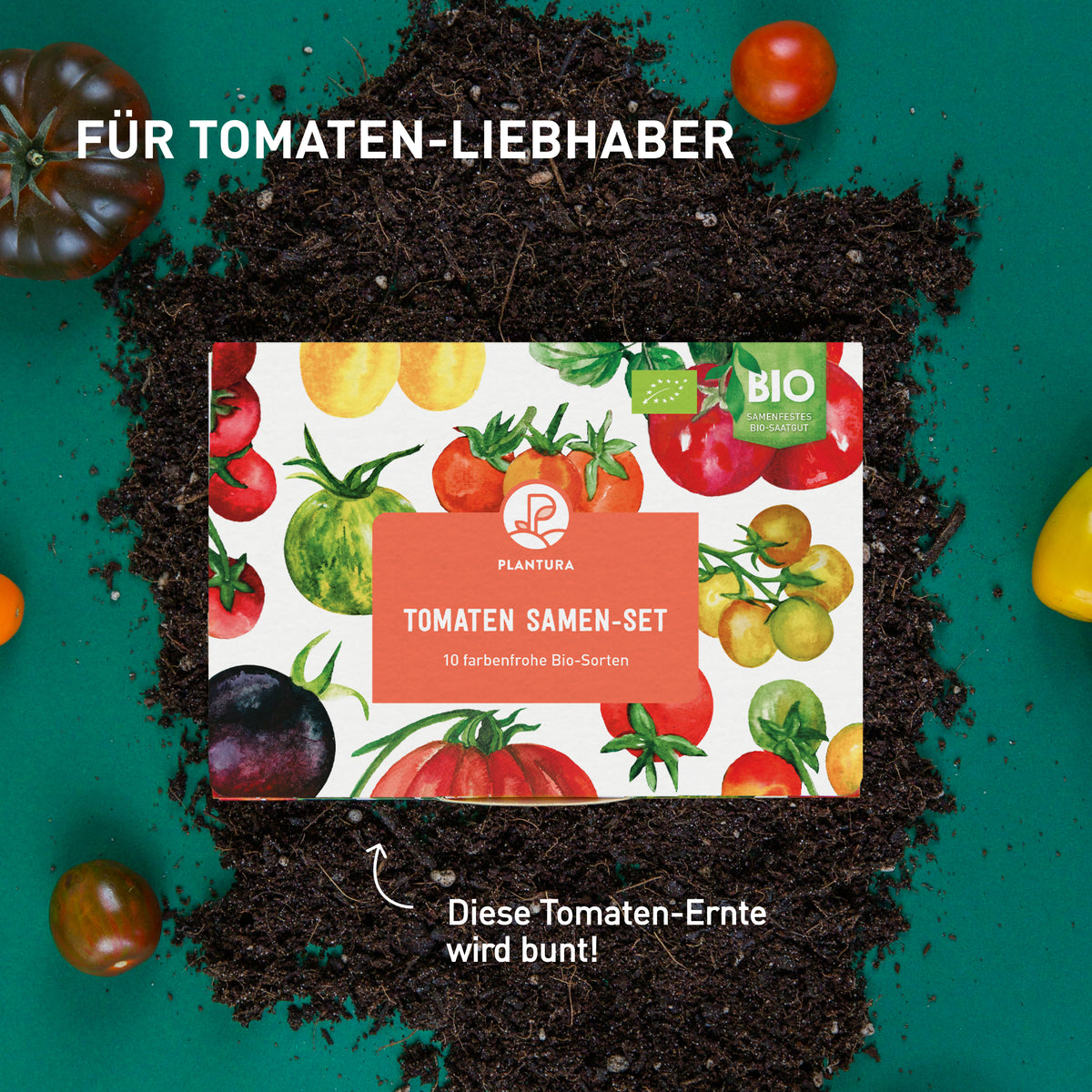 Tomatensamen im Saatgut-Set
