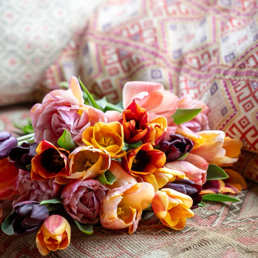 Tulpen-Kollektion 'April Sunrise'
