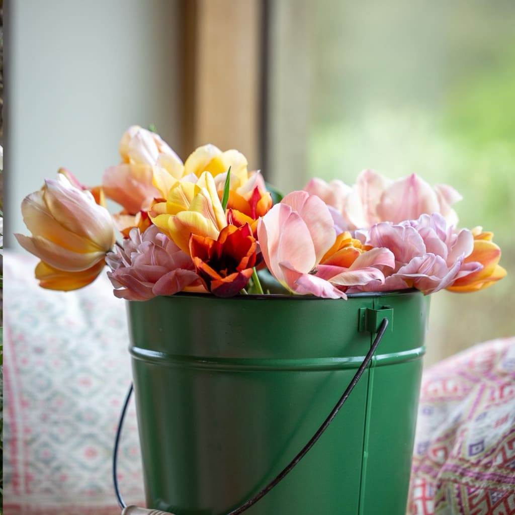 Tulpen-Kollektion 'April Sunrise'