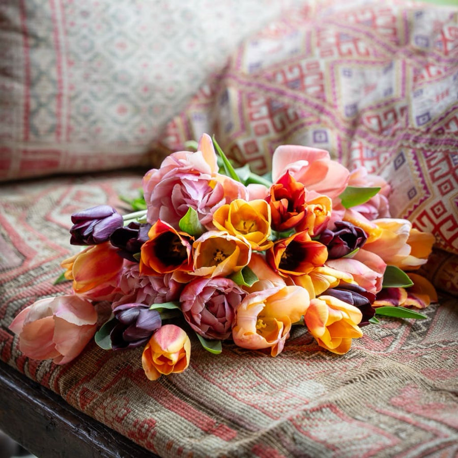 Tulpen-Kollektion 'April Sunrise'
