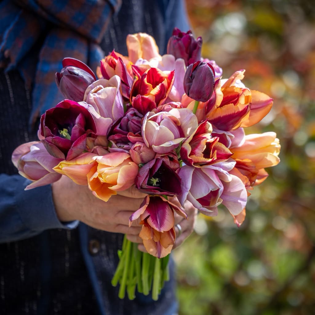 Tulpen-Kollektion 'Smokey Hues'