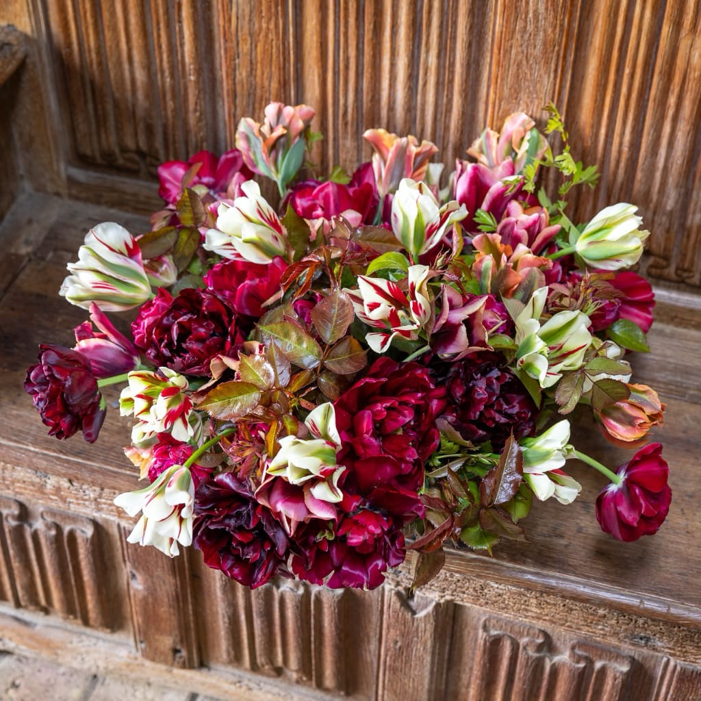 Tulpen-Kollektion 'Tudor Rose'