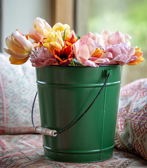 Grüner Eimer gefüllt mit bunten Tulpen als Schnittblumen