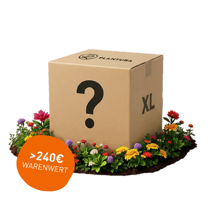 Limitiert: Überraschungsbox Outdoor XL