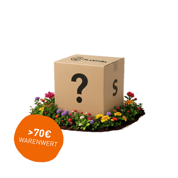 Limitiert: Überraschungsbox Outdoor S