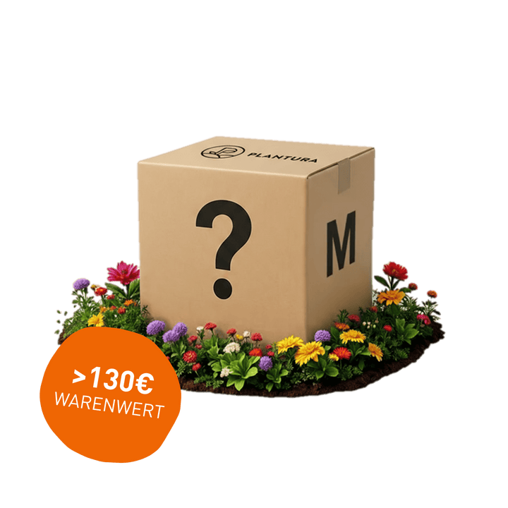 Limitiert: Überraschungsbox Outdoor M