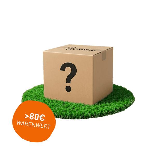 Limitiert: Überraschungsbox Rasen