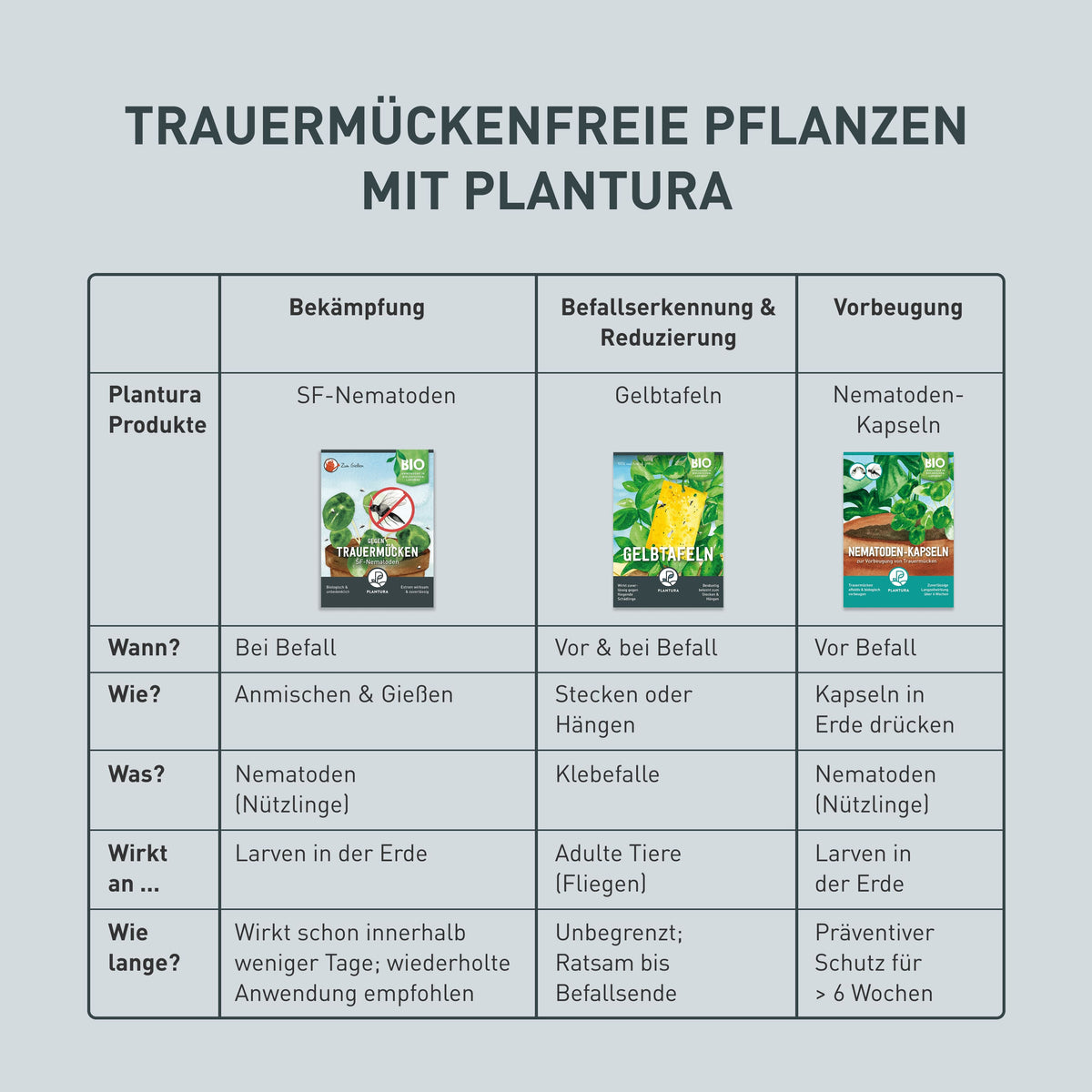 Übersicht Produkte gegen Trauermücken