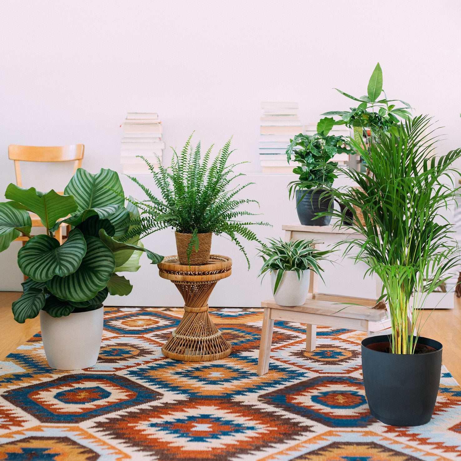 Wohnzimmer mit ungiftigen Zimmerpflanzen