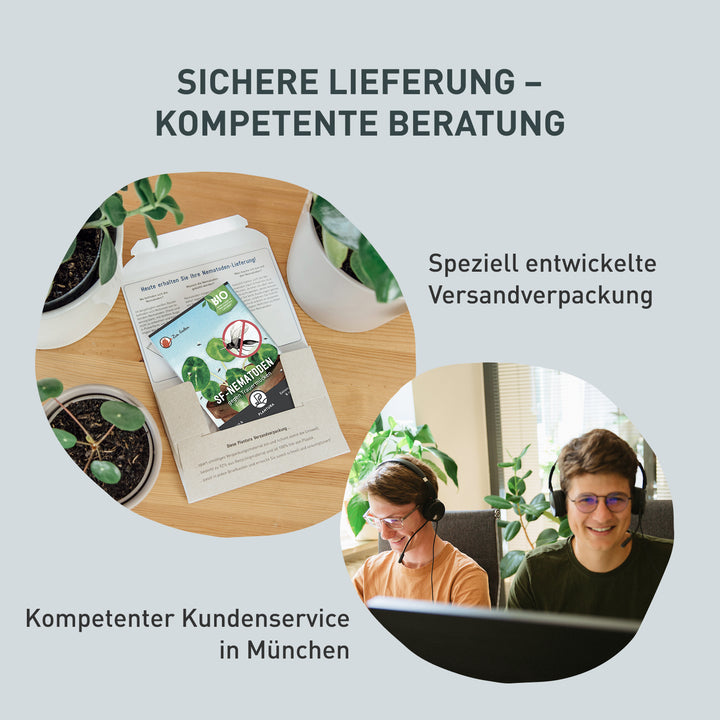 Verpackung und Kundenservice der SF-Nematoden gegen Trauerfliegen