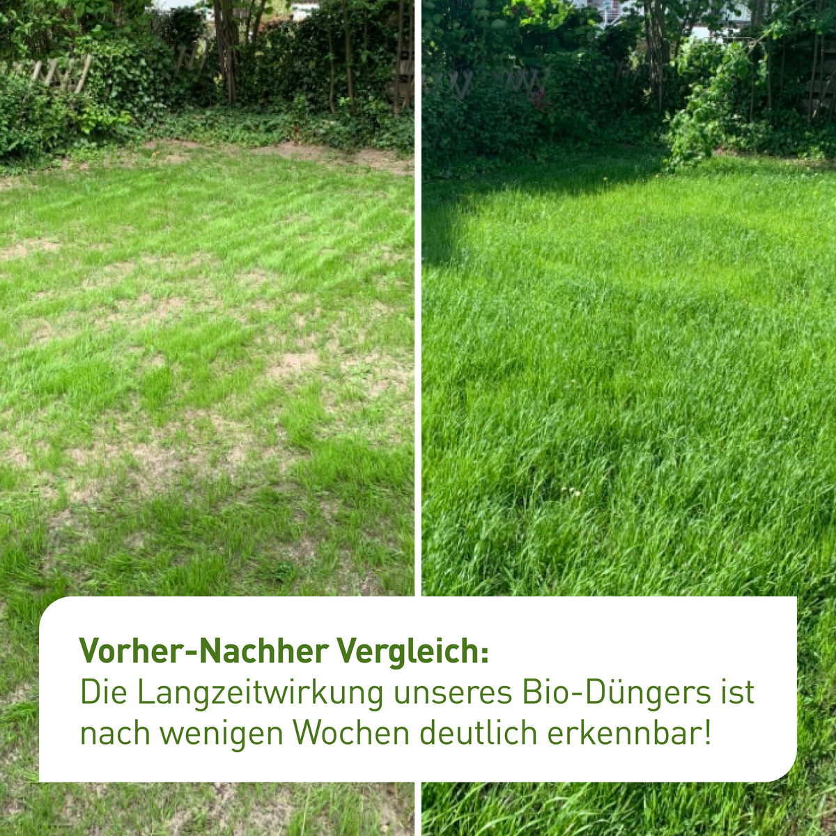 Vorher-Nachher-Vergleich unseres organischen Rasendüngers