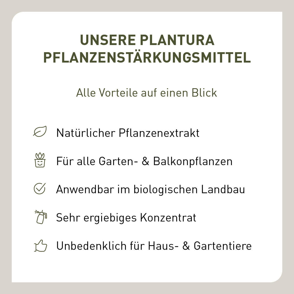 Vorteile von Brennnessel als Pflanzenstärkungsmittel