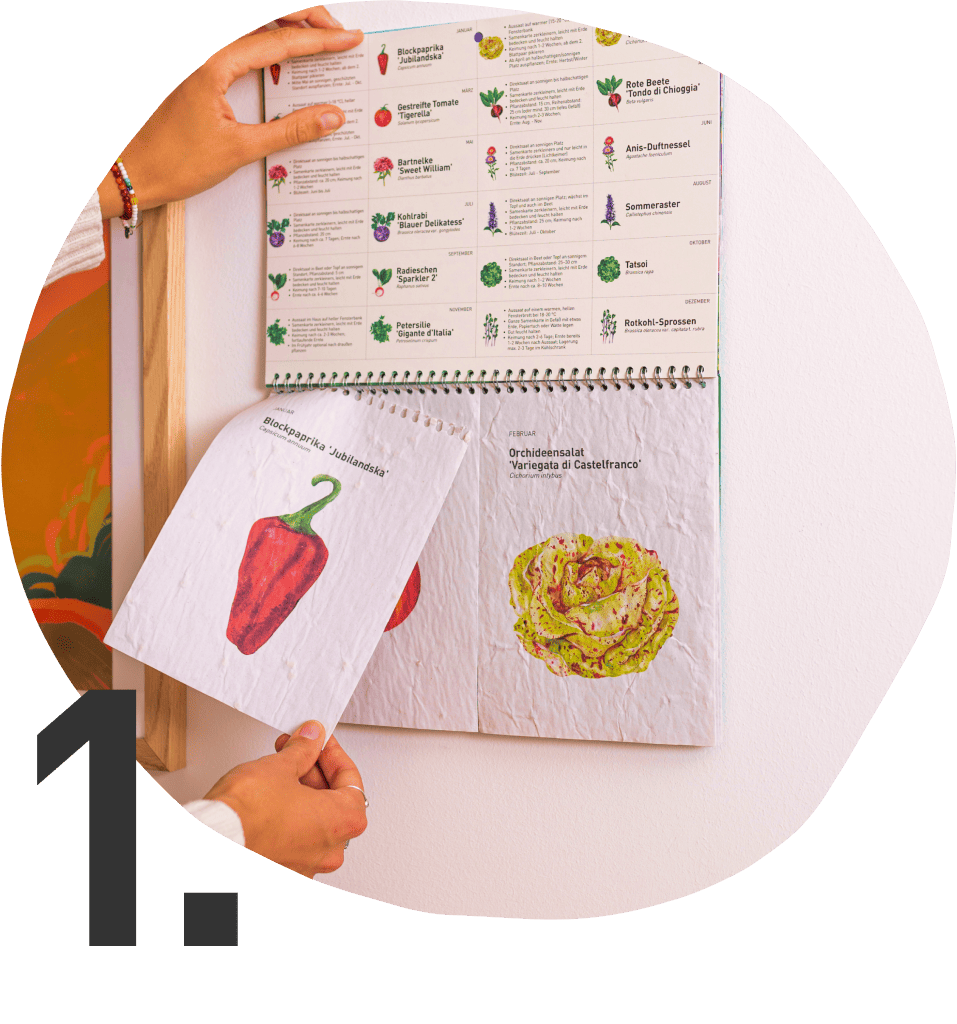 Samenkarte aus Einpflanzbarem Kalender
