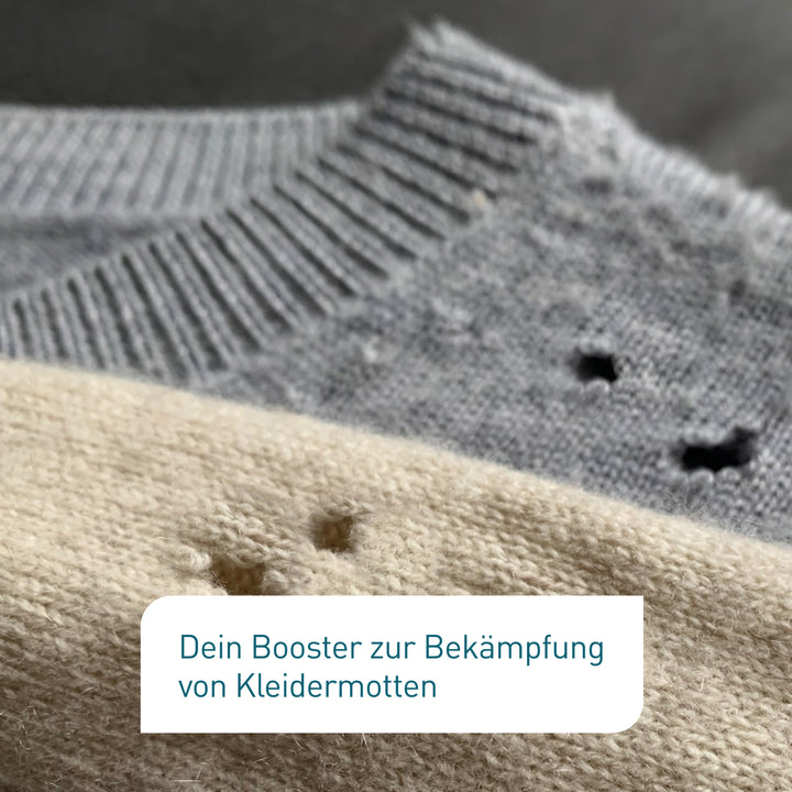 Pullover von Kleidermotten zerfressen