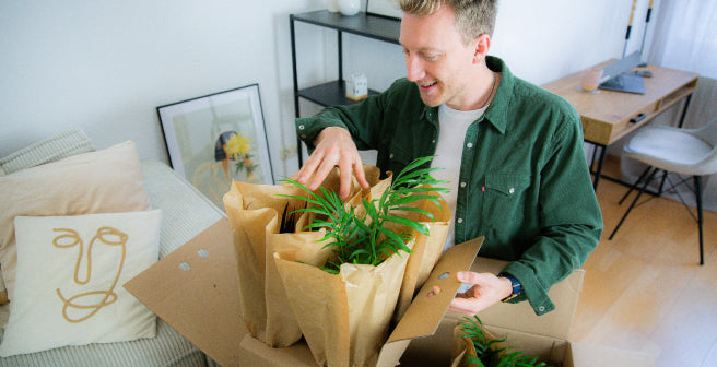 Spezialisierte Verpackung