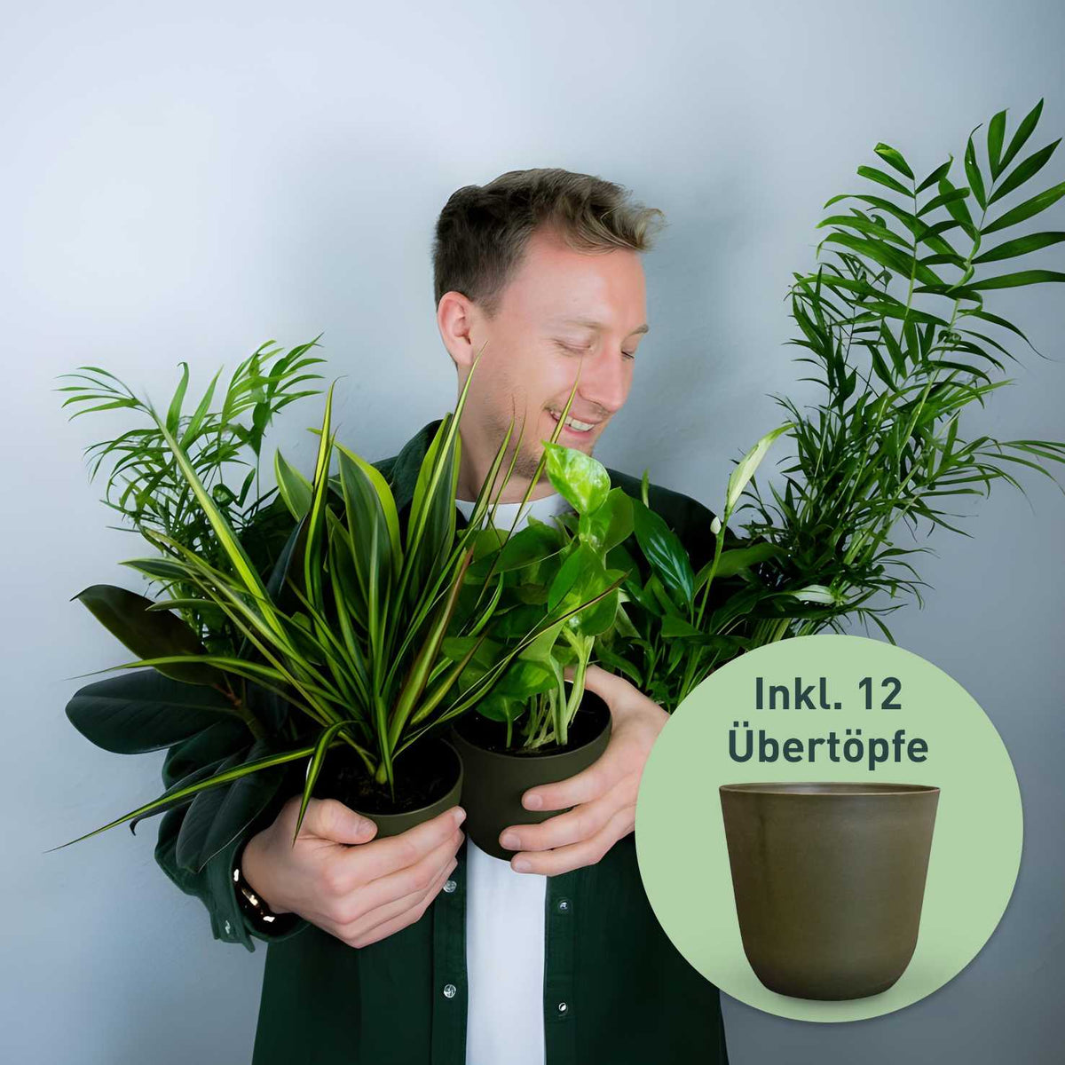 Rette mich: Zimmerpflanzen 12er Set