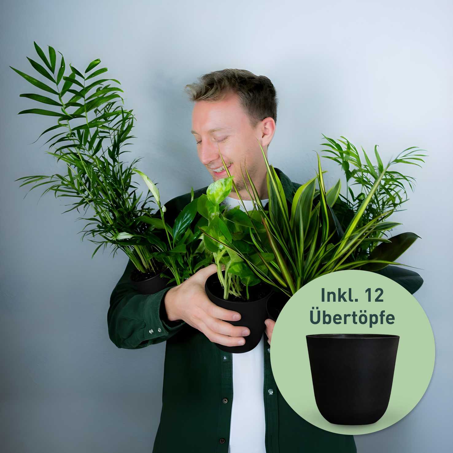 Rette mich: Zimmerpflanzen 12er Set