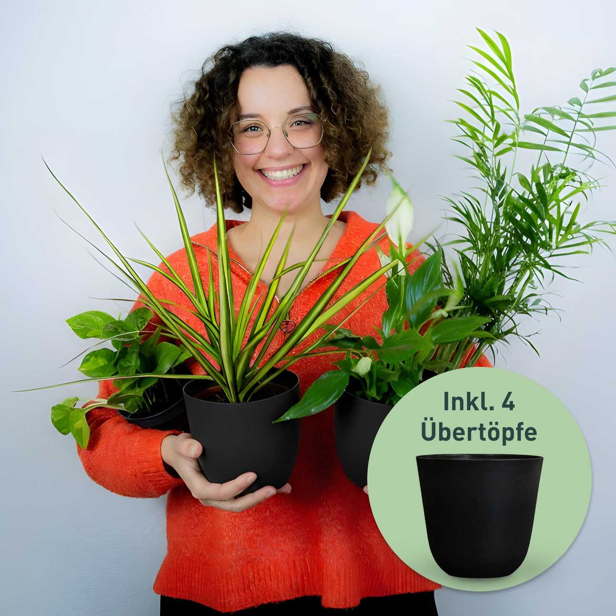 Rette mich: Zimmerpflanzen 12er Set