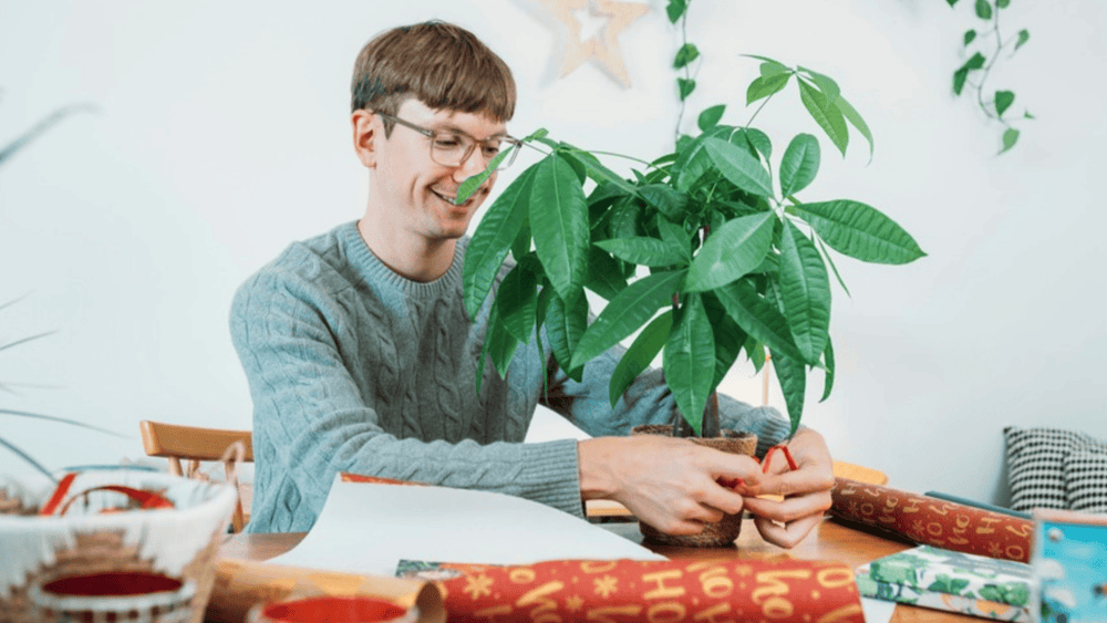 Pflanzen-Geschenke