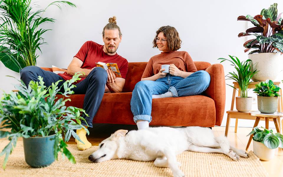 Ein Mann und eine Frau lesen auf einem Sofa umgeben von Zimmerpflanzen. Ein Hund liegt vor dem Sofa.