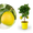 Zitronat-Zitrone LEMON TIME®
