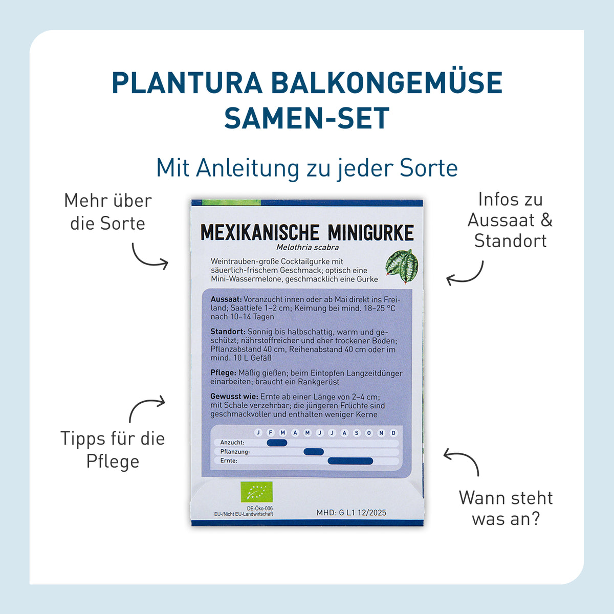 Balkongemüse Saatgut-Set mit Anleitung auf Samentütchen