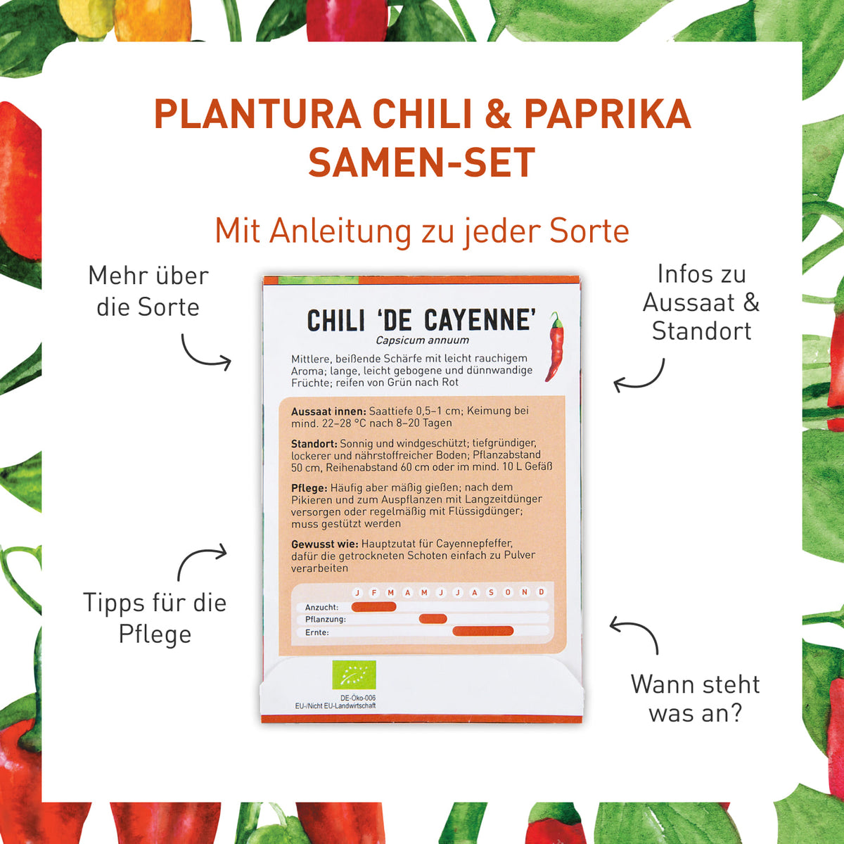 Chili-Saatgut-Set mit Anleitung
