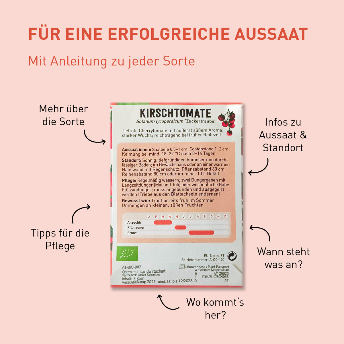 Tomatensamen-Set mit Anleitung