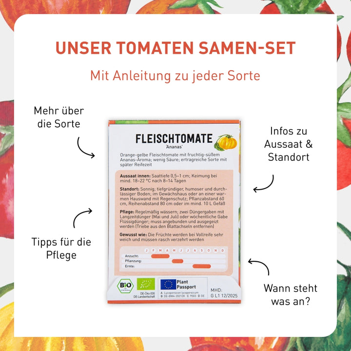Tomatensamen-Set mit Anleitung
