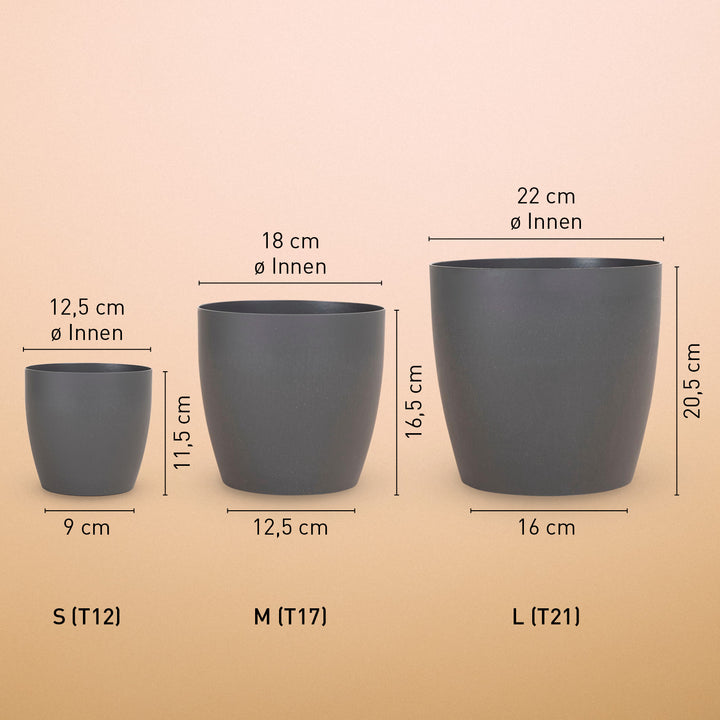 Größe der Anthrazit-Übertöpfe für Zimmerpflanzen