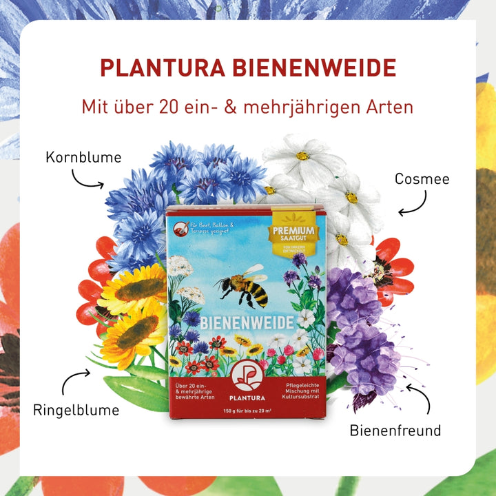 Blumenarten in der Plantura Bienenweide
