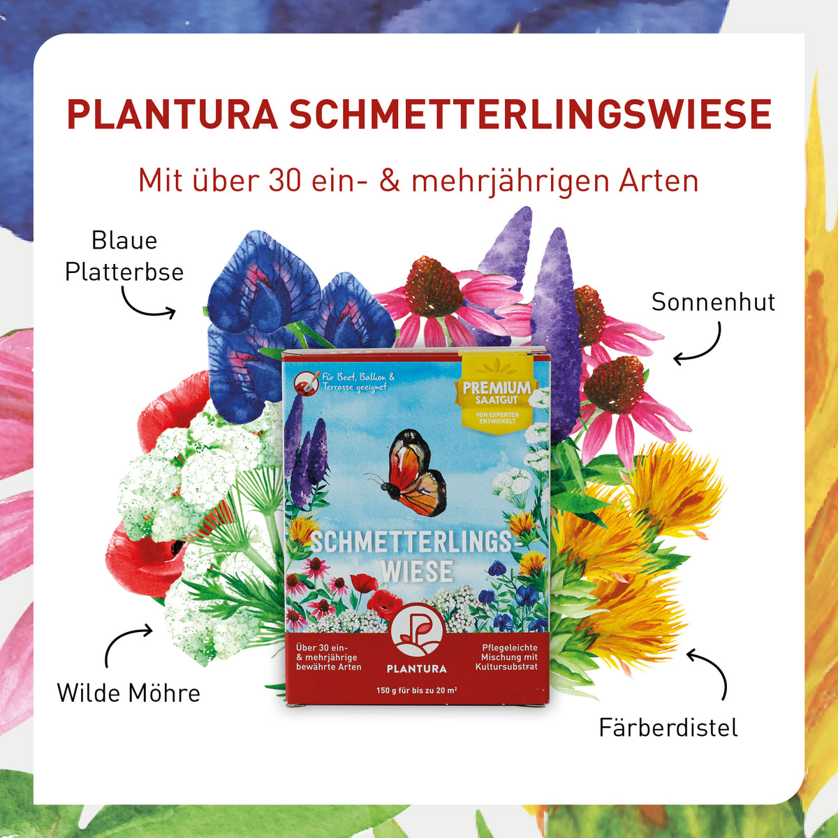 Blumenarten in der Plantura Schmetterlingswiese